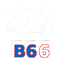 B66