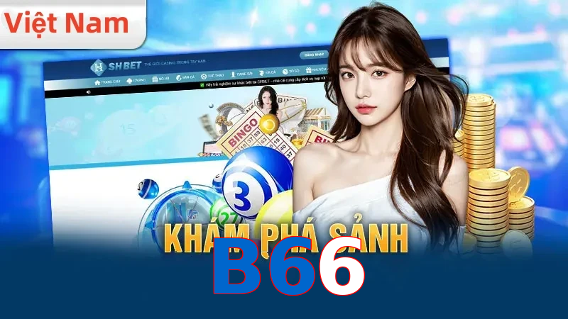 B66